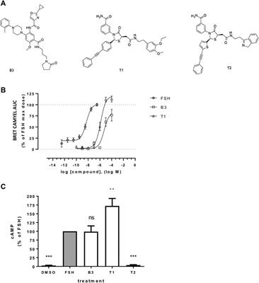 Pharmacological Programming of Endosomal Signaling Activated by Small Molecule Ligands of the Follicle Stimulating Hormone Receptor